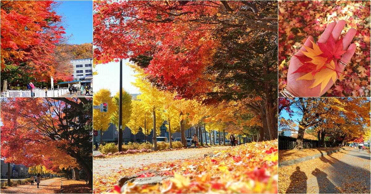 北海道札幌｜真駒內地鐵出站一分鐘就能看到的好風景，札幌的秋日就來這邊賞楓吧！ @嘿!部落!