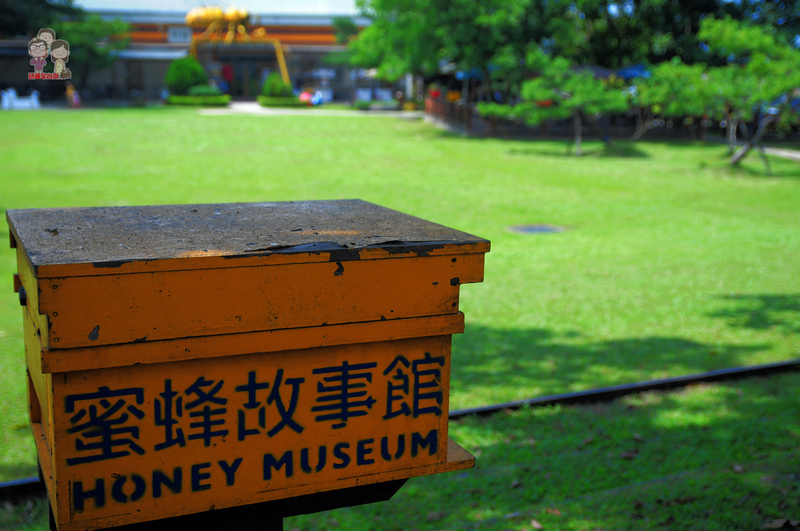 雲林古坑｜嗡嗡嗡，蜜蜂故事館