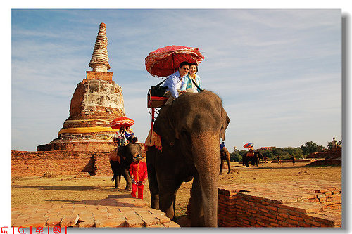 泰國旅遊｜與象共舞