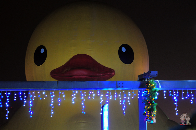 黃色小鴨在基隆︱風雨中的夜！我們賞鴨趣