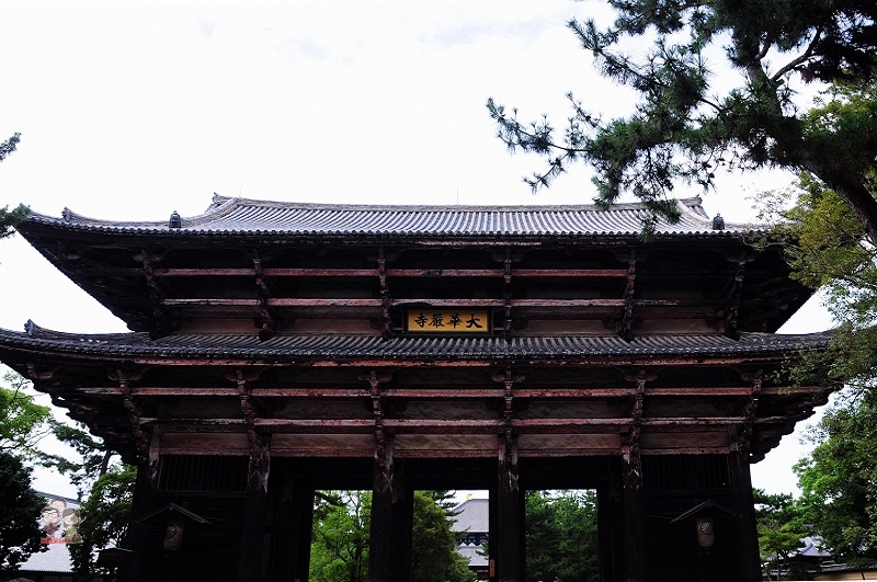 日本關西｜奈良公園．日本三大名佛之首的東大寺盧舍那佛