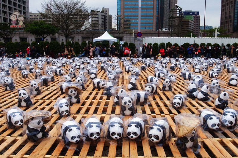 貓熊出沒｜1600貓熊世界之旅．台北