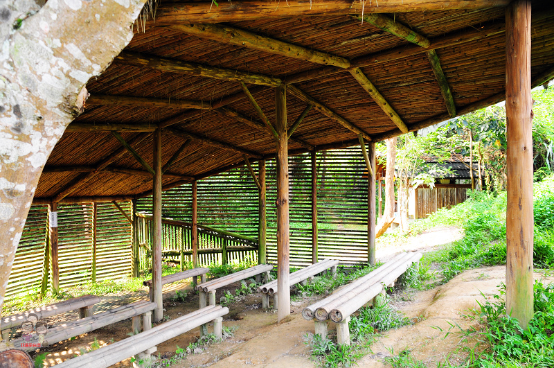南投埔里｜桃米社區工坊、桃米生態村，給您純樸自然的鄉居生活