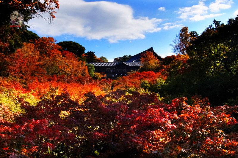 京都賞楓｜京都最大最古老，楓葉最火紅的東福寺