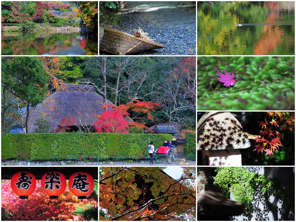 京都自由行｜嵐山散策，四季好風景