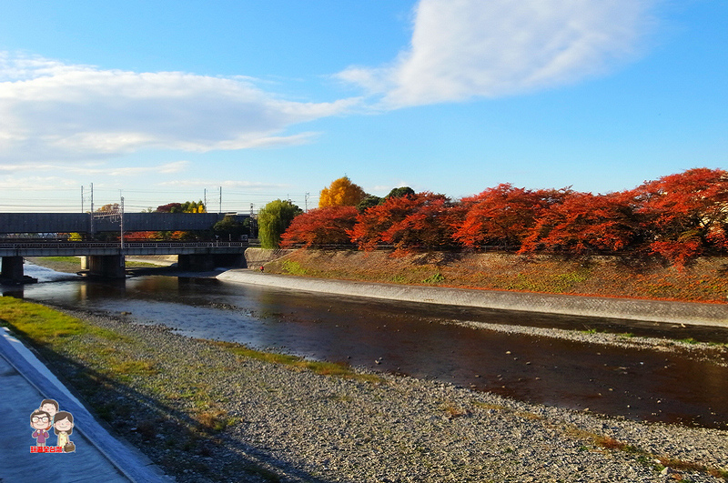 京都自由行｜散步景點．鴨川跳烏龜