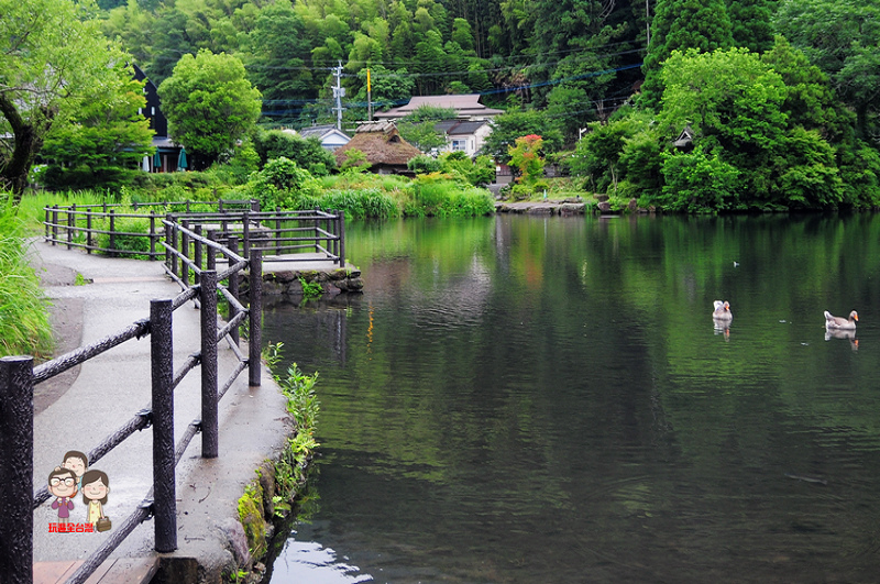 日本九州｜由布院散策終點站．金鱗湖